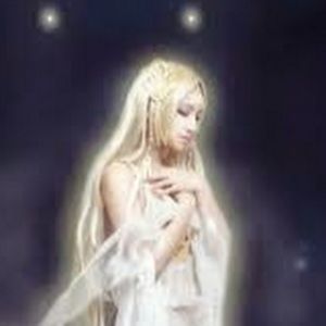 Meet your Posher, Bailey